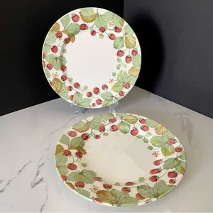 SET of 2 Strawberry Dinner Plates by Royal Stafford